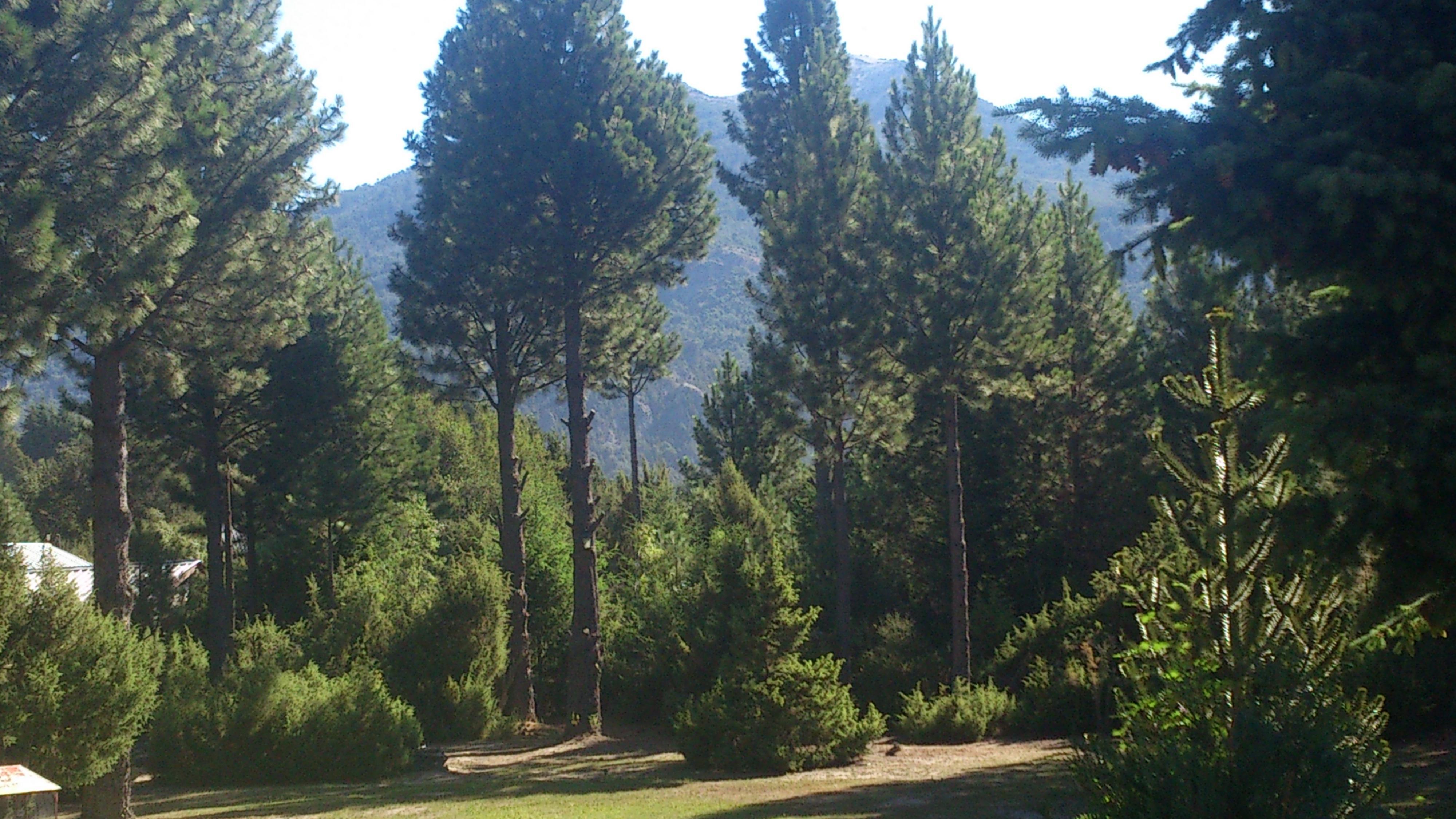 Del Angel Lodge