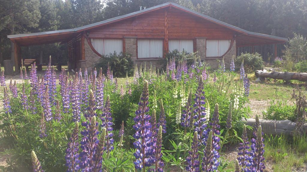 Del Angel Lodge San Carlos de Bariloche